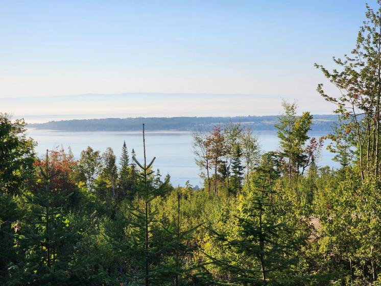 2 - Terrain et terre à vendre, Les Éboulements (Code - eb290, Charlevoix)