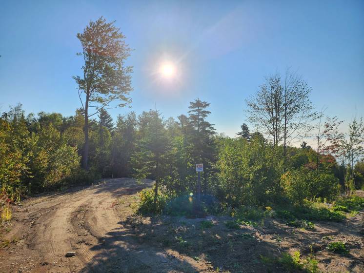 3 - Terrain et terre à vendre, Les Éboulements (Code - eb290, Charlevoix)