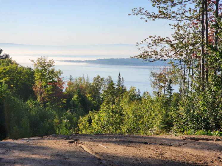 6 - Terrain et terre à vendre, Les Éboulements (Code - eb290, Charlevoix)