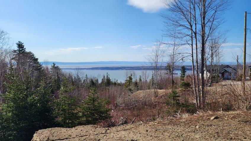 8 - Terrain et terre à vendre, Les Éboulements (Code - eb290, Charlevoix)